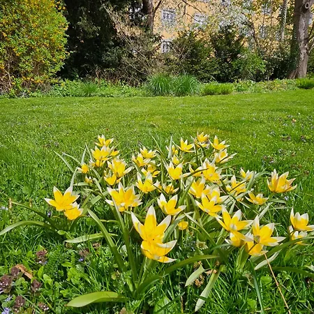 Flat By Grazrentals Garden View & Quiet & Free Parking Graz