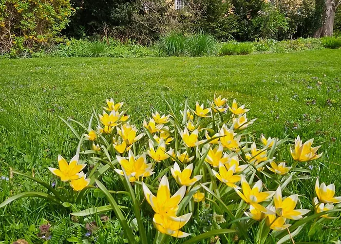 Green Flat By Grazrentals Garden View & Quiet & Free Parking Γκρατς